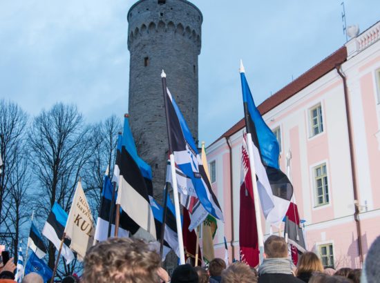 Eesti Vabariigi 99. aastapäeva tähistamine